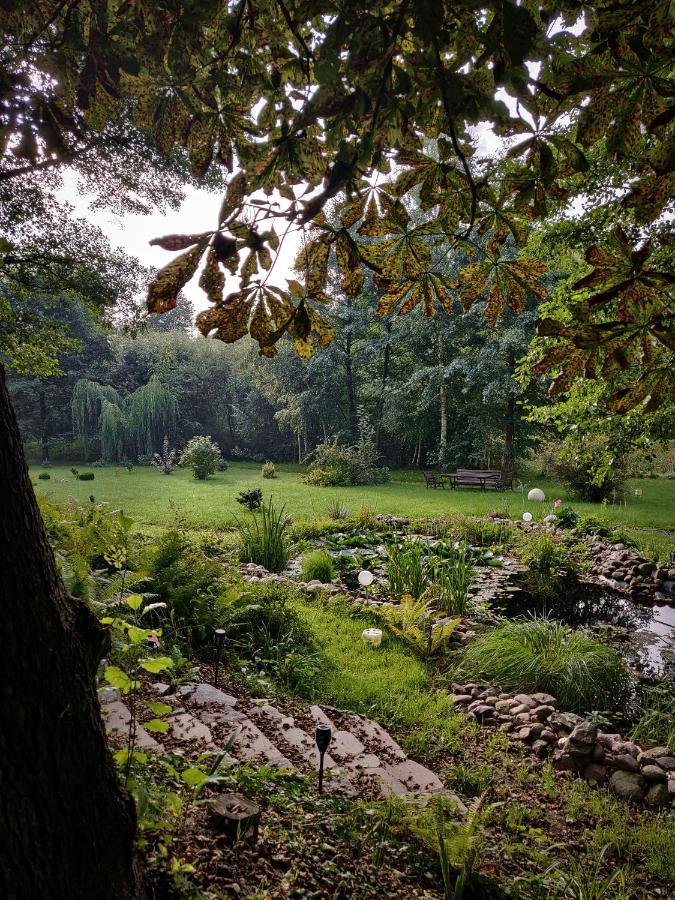 Dom Weselny Pod Kasztanem Otel Luban Dış mekan fotoğraf